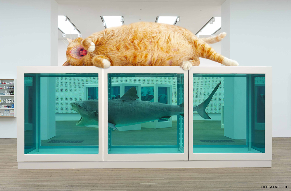 Damien Hirst’s The Physical Impossibility of Death in the Mind of Someone Living , now with bonus catnap.