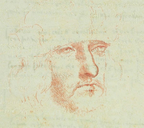 Leonardo da Vinci's self portrait. Photo: courtesy Muscarelle Museum of Art