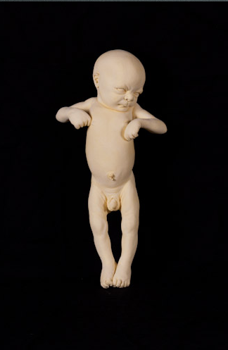 Ron Mueck, Baby (2000). Photo: Courtesy the Louis-Dreyfus Family Collection. 