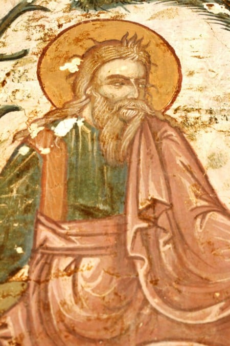 detail from one of the disputed frescos