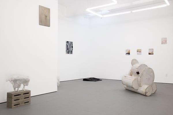 6 × 6 installation shot at Transmitter Gallery. Photo: Courtesy the gallery.