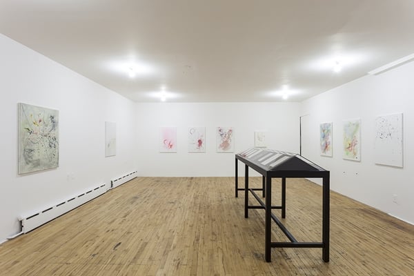 Installation view, Whitney Clafin, Crows, (2014). Photo: Courtesy the artist and Real Fine Arts, New York/Joerg Lohse  