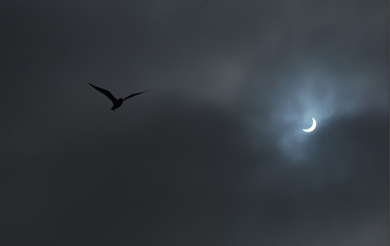 The solar eclipse, March 20, 2015.  Photo: Robert Tarling, via Flickr.