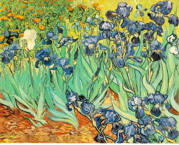 Vincent van Gogh, Irises (1889).Image via ibiblio.org