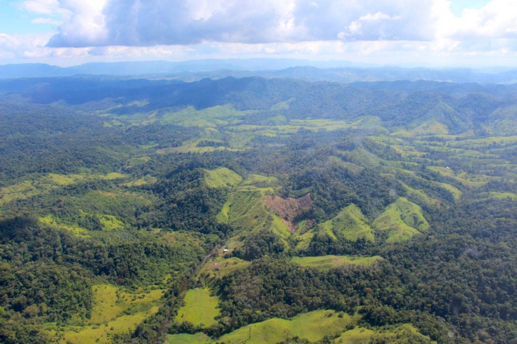 The Mosquitia jungle in Honduras an important ancient city from a previously unknown culture was recently discovered thanks to LiDAR scans. Photo courtesy of UTL Productions, the Honduran LiDAR survey project.