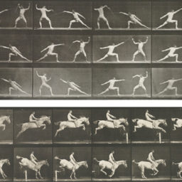 Eadweard Muybridge, Selected Motion Studies (1887).