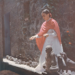 Gisele Freund, Frida Kahlo in the garden of La Casa Azul. Photo courtesy of Throckmorton Fine Art, New York.