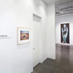Installation view of Meet Me Halfway at Cristin Tierney Gallery.