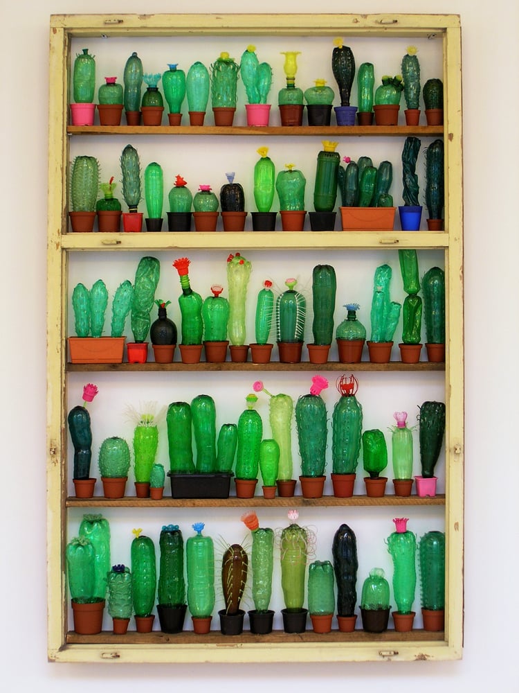 Veronika Richterová, "The Collection of Cactuses." Photo: Michal Cihlár.
