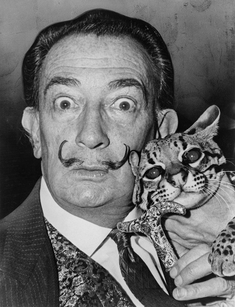 Salvador Dalí with his ocelot, Babou (1965). Photo by Roger Higgins, courtesy of the United States Library of Congress, New York World-Telegram and Sun collection, public domain.