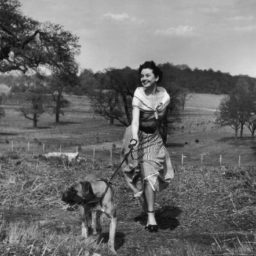 Bert Hardy, Unpublished photograph of Audrey Hepburn in Richmond Park by Bert Hardy, 30 April (1950)Photo: ©Bert Hardy/Getty Images