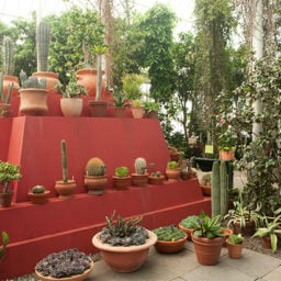 "Frida Kahlo: Art, Garden, Life" at the New York Botanical Garden. Photo: Ivo M. Vermeulen.