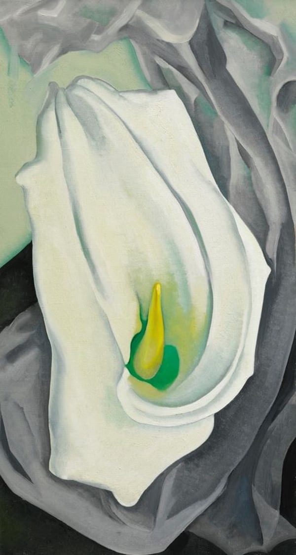 Georgia O'Keeffe, White Calla Lily (1972). Photo: courtesy of Sotheby's.