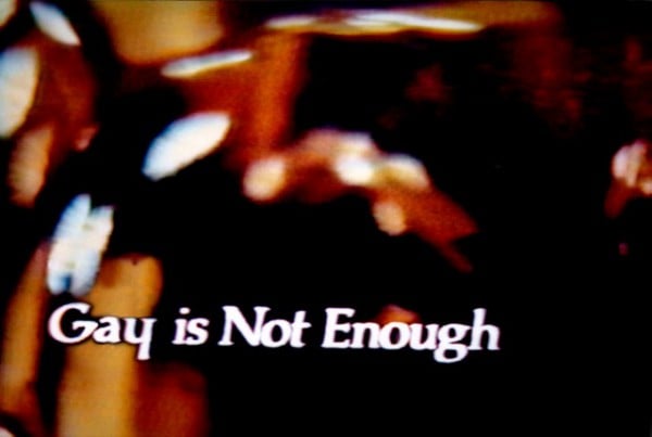 John Waters, Gay is Not Enough. Photo: OHWOW.