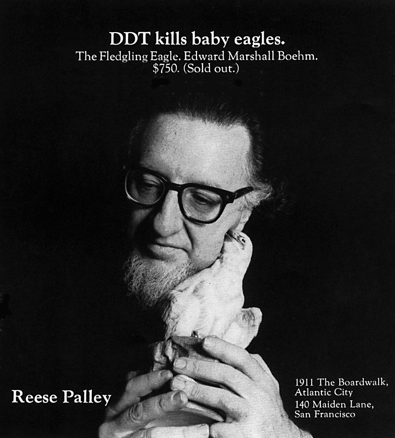 A Reese Palley ad.  Photo: courtesy Reese Palley.