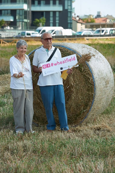 People participating in the harvesting of Agnes Denes’ Wheatfield in Milan last week<br>Photo: Marco de Scalzi Courtesy Fondazione Nicola Trussardi