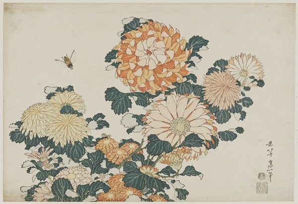 Chrysanthemums and Horsefly, from an untitled series known as  Large Flowers Katsushika Hokusai (Japanese, 1760–1849) about 1833–34 (Tenpô 4–5) Woodblock print (nishiki-e); ink and color on paper * William Sturgis Bigelow Collection * Photograph © Museum of Fine Arts, Boston