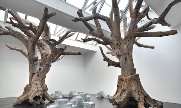 The Royal Academy show will include eight of Ai Weiwei's huge 'tree sculptures.' Photo: Ai Wei Wei/Royal Academy via The Guardian