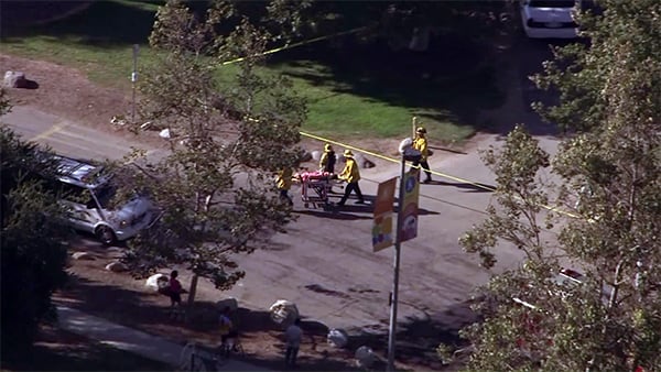 Firefighters respond to a fallen tree at the Kidspace Children's Museum in Pasadena. Photo: courtesy KTLA. 