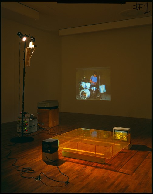 Bruce Nauman, Learned Helplessness in Rats (Rock and Roll Drummer), 1988, plexiglass maze, closed-circuit video camera, scanner and mount, switcher, two videotape players, 13-inch color monitor, 9-inch back-and-white monitor, video projector, and two videotapes (color, sound), dimensions variable. © 2015 Bruce Nauman/Artists Rights Society (ARS), New York