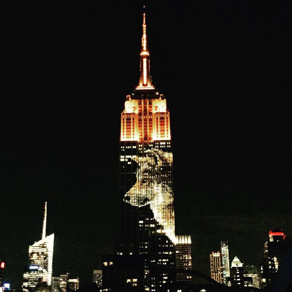 “Projecting Change: The Empire State Building.” Photo: chatkoff, via Instagram. 