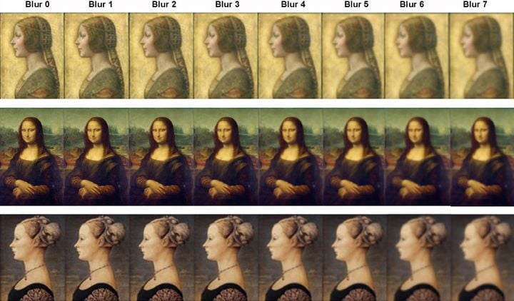 For their experiment "The Uncatchable Smile in Leonardo da Vinci," Alessandro Soranzo and Michael Newberry used Photoshop to blur and sharpen different parts of Leonardo da Vinci's paintings of women, mimicking the changing focus in our field of vision, which affects whether or not the portraits appear to be smiling. Courtesy of Alessandro Soranzo and Margaret Livingstone.