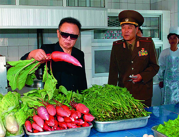 João Rocha, Looking at a Radish, from the book Kim Jong Il Looking at Things (2012). Photo: João Rocha.