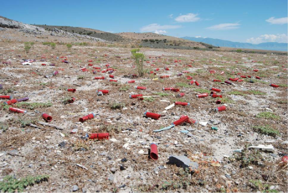 Shotgun casings litter Utah's Lake Mountains.  Photo: via the Salt Lake Tribune. 