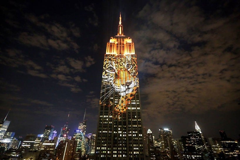 “Projecting Change: The Empire State Building.” Photo via: Design Boom.