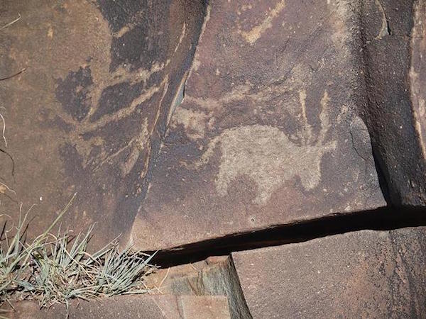 Scientists at South Africa's University of Witwatersrand are documenting cave-paintings around the continent. Photo: Sinika Tarvainen/dpa via Focus