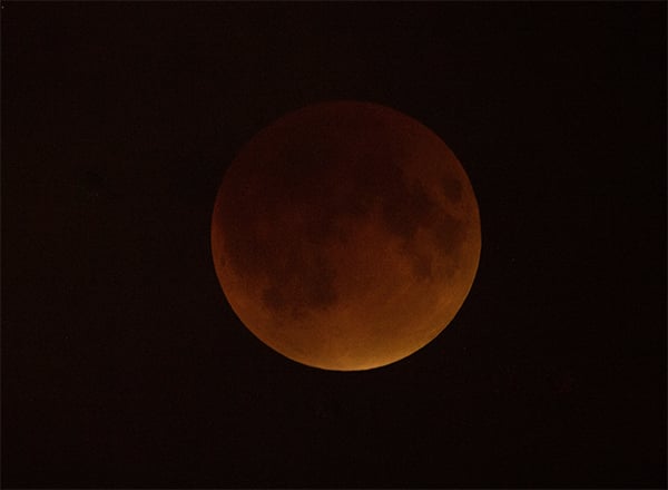 The blood moon over Washington, DC. Photo: NASA/Aubrey Gemignani.