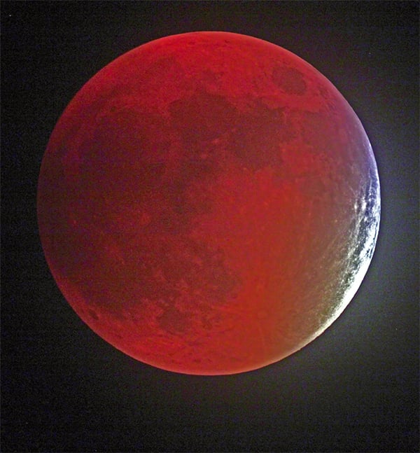 The blood moon over Manatee County, Florida. Photo: Victor Rogus.