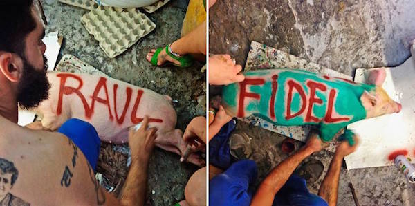 The artist was jailed for painting the names of former Cuban leader Fidel Castro and current President Raul, on pigs. Photo: http://babalublog.com