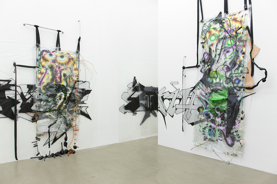 Kerstin  Brätsch and Debo Eilers, KAYA V installation view (2015). Courtesy of Galerie Meyer Kainer.