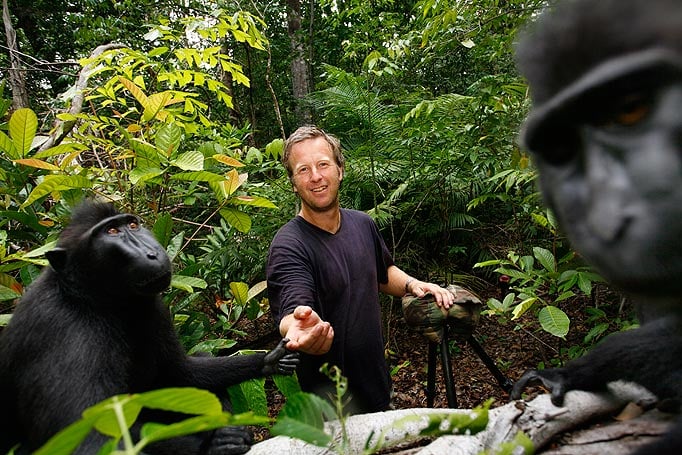 David Slater with crested black macaques.