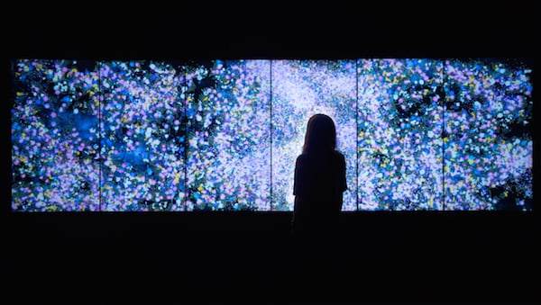Flowers and People, Cannot be Controlled but Live Together – Dark teamLab, 2015, Interactive Digital Installation<br>Photo: Courtesy of teamLab and START Art Fair