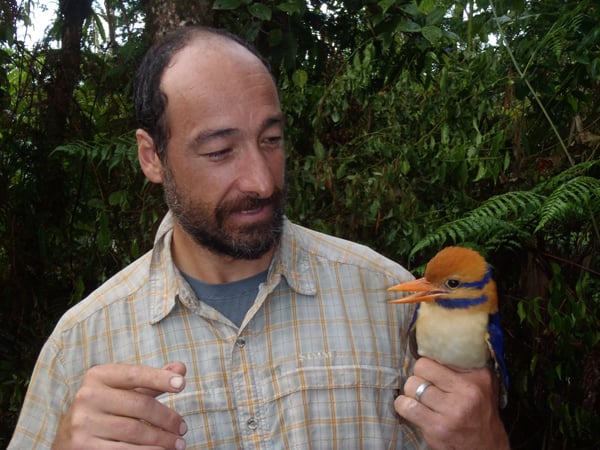 Chris Fildardi with the moustached kingfisher.  Photo: © R.Moyle, M. Janda, S. Galokale, courtesy the American Museum of Natural History.