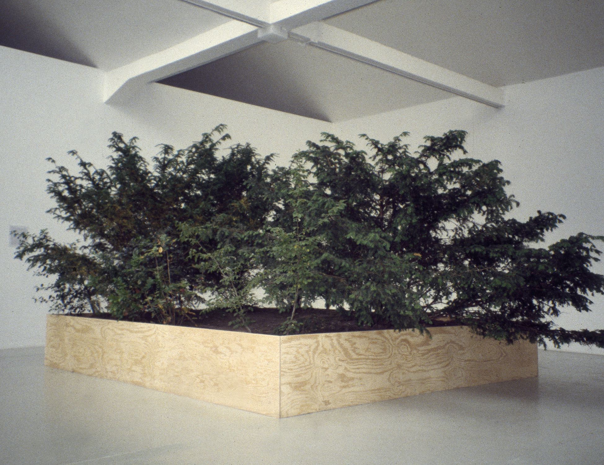 Tom Burr, Circa '77, 1995, wood, soil, trees, found objects.Photo courtesy Bortolami.
