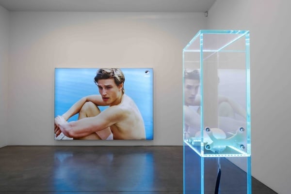 Installation view of "Everythings" at Andrea Rosen Gallery, 2015 <br>Photo: courtesy Société Berlin 