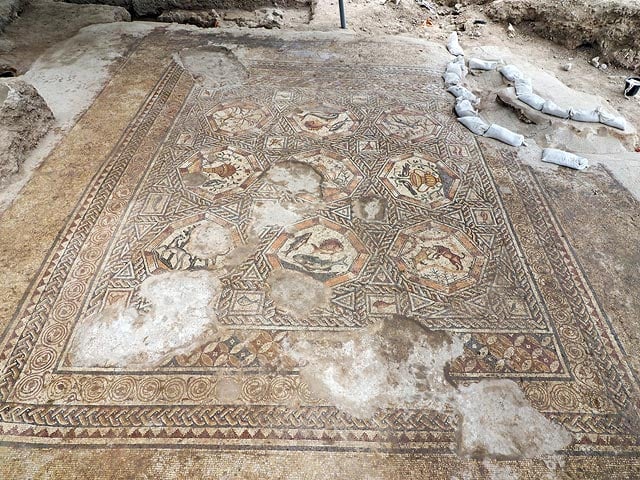 The 1,700-year-old Roman-era mosaic floor discovered in Israel. Photo: Assaf Peretz, courtesy of the Israel Antiquities Authority.