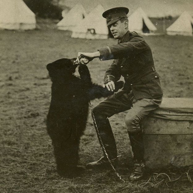 Winnipeg, the real-life Winnie-the-Pooh, with her owner, Canadian veterinarian and solider Harry Colebourn. Photo: Lindsay Mattick. 