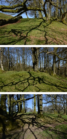 Andy Goldsworthy, <i> Laid across oak boughs to make shadows on the ground below, Dumfriesshire, Scotland, 19 April 2014 </i>(2014) <br> Photo: courtesy Galerie Lelong 