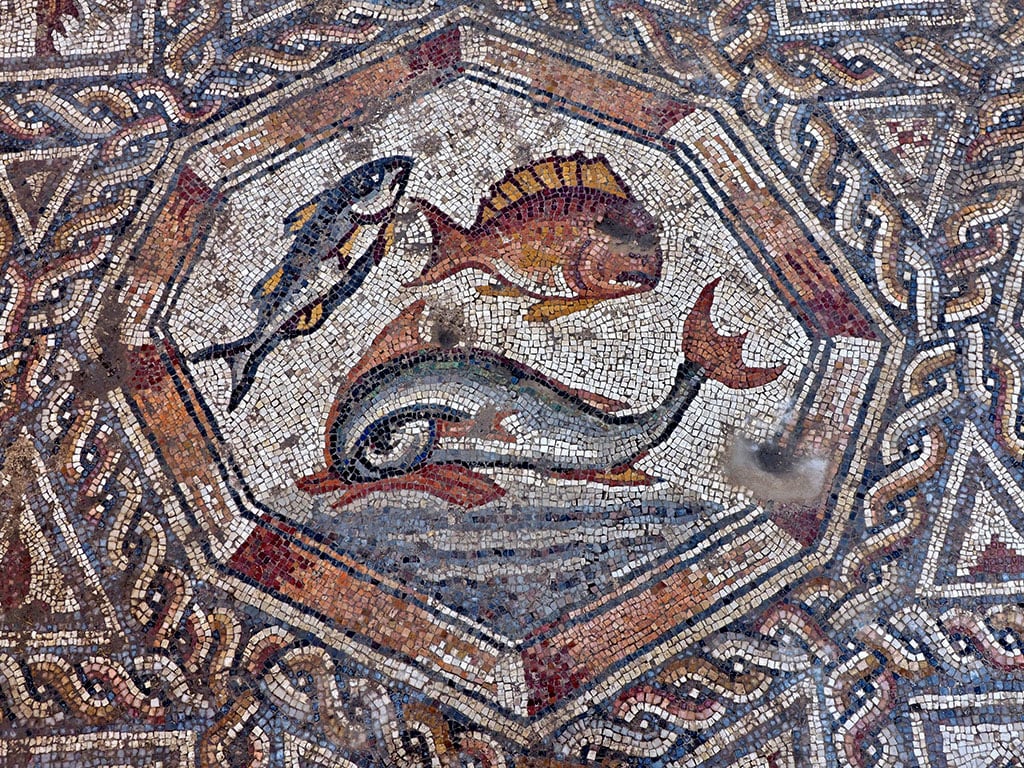 Part of the 1,700-year-old Roman-era mosaic floor discovered in Israel. Photo: Assaf Peretz, courtesy of the Israel Antiquities Authority.
