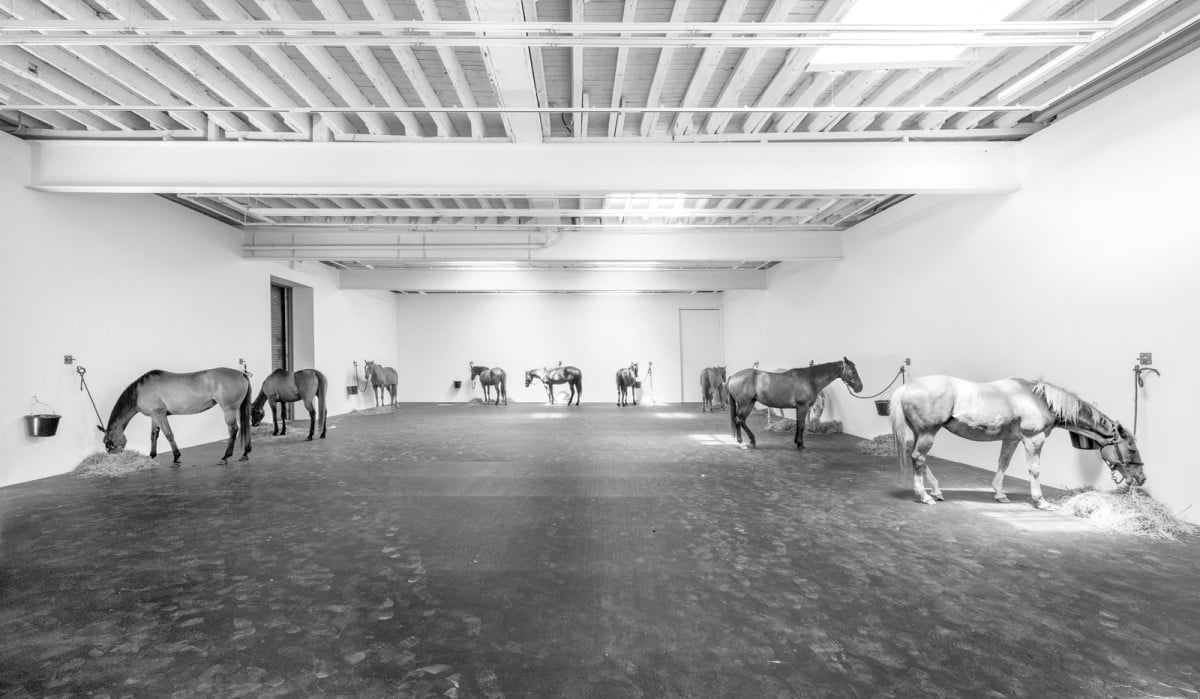  Jannis Kounellis, <em>Untitled (12 Horses)</em> at Gavin Brown's Enterprise. Photo: courtesy Gavin Brown's Enterprise.