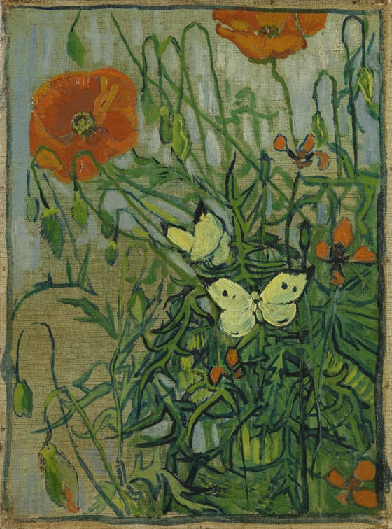 Vincent van Gogh <em>Butterflies and Poppies </em>(1890). Photo: Van Gogh Museum, Amsterdam (Vincent van Gogh Foundation).