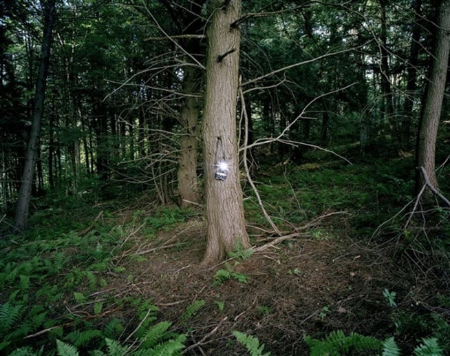 Adam Ekberg, A camera in the forest (2008). Courtesy of ClampArt.