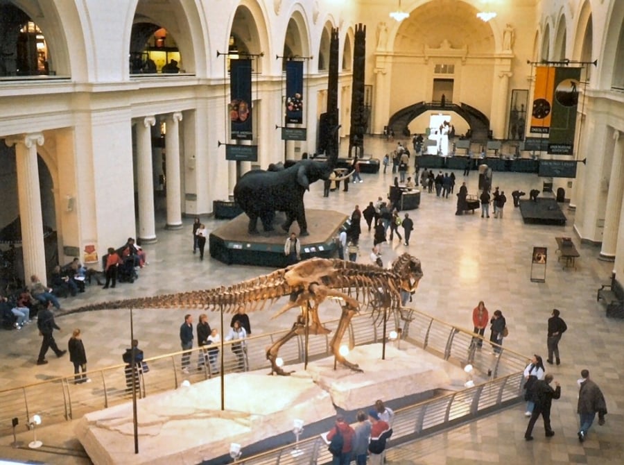 The Field Museum. Photo: courtesy the Field Museum. 