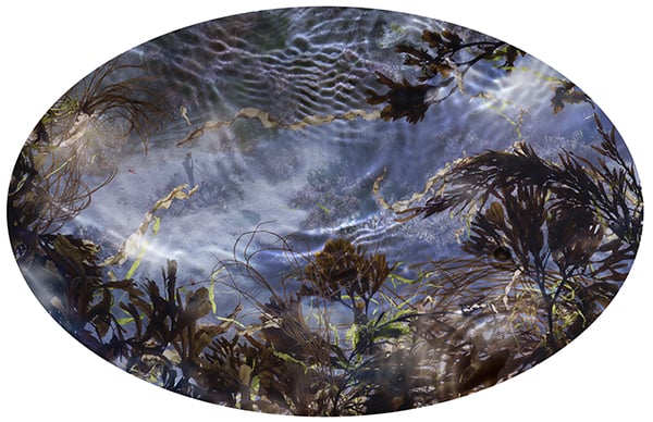 Susan Derges, <em>Tide Pool 39</em> (2015). Photo: courtesy of the artist and Purdy Hicks Gallery, London.