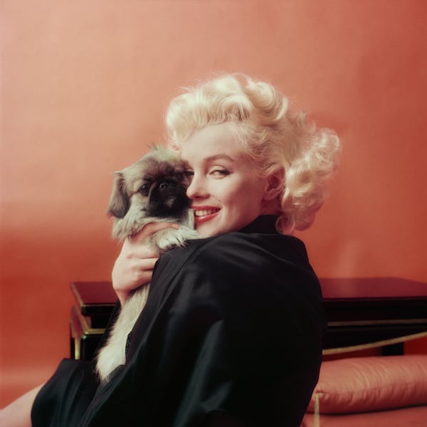 Milton H Greene Marilyn Goes Oriental With a Pekenese Photo: via Little Black Gallery