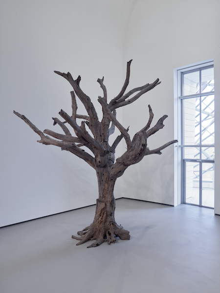 Ai Weiwei <i> Tree</i> (2010) <br> Photo: courtesy Louis Vuitton Foundation 